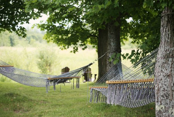 hammocks summer rural
